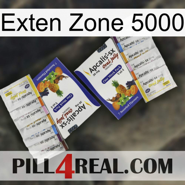 Exten Zone 5000 12.jpg